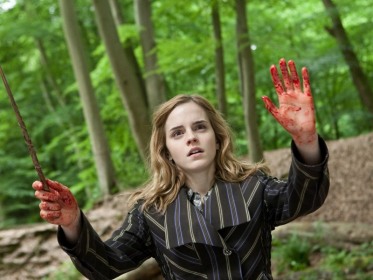 harry-potter-and-the-deathly-hallows-part-1-373-8756