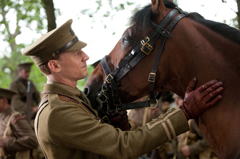 hiddleston-warhorse