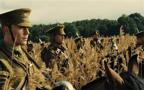 War-horse-2_field