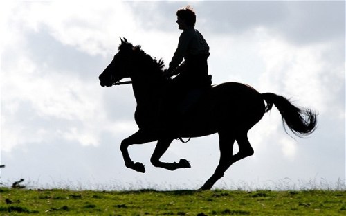 War-horse_sillouette