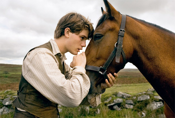 Joey with horse