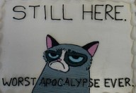 grumpy cat cake