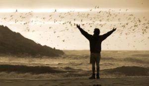 Into the Wild film - bird scene