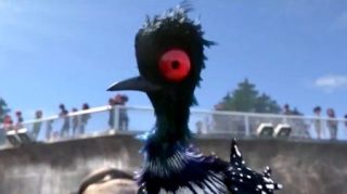 Funny bird Becky in Finding Dory film review