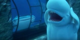 Funny beluga whale bailey Finding Dory film review