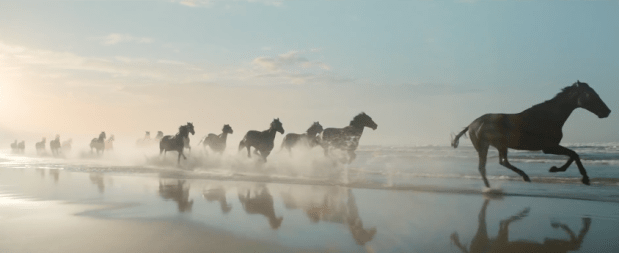 Screen Shot 2018-04-12 at 09.43.51.png