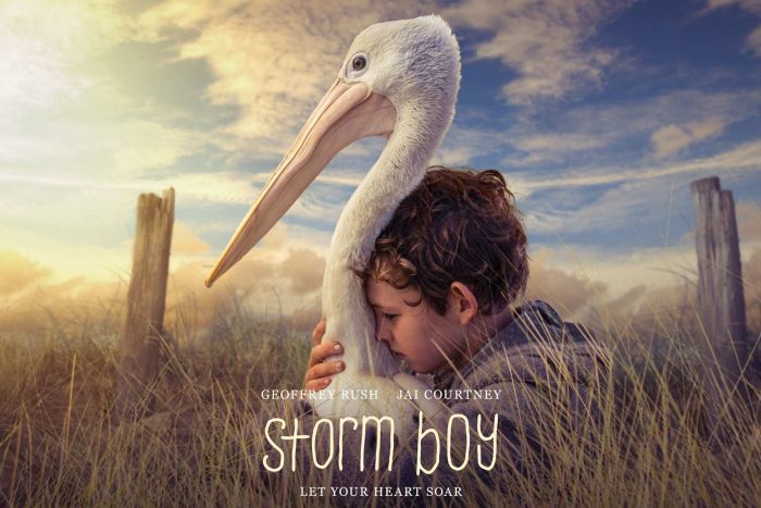 stormboy