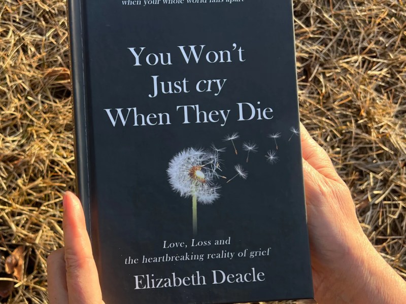 You Won’t Just Cry When They Die – Elizabeth&nbsp;Deacle