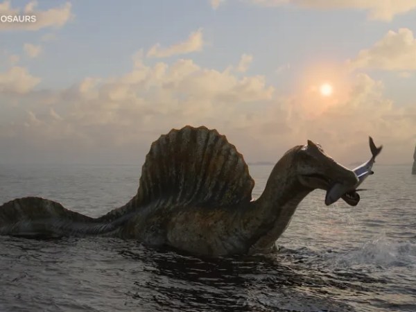 What You Should Watch on Netflix (NZ) Right Now – March&nbsp;2026